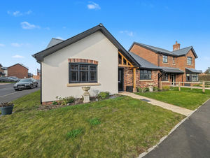 Photo 21- click for photo gallery